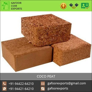 Natural Fresh Organic Coconut Peat Coco Peat