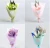 Import Natural fresh real dried flower bouquet arrangements decoration lagurus dry flower from China