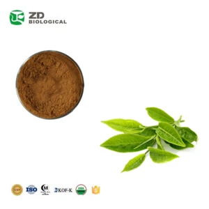 Natural plant extract green tea leaf extract Tea polyphenol
