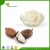 Import Natural Pure Raw Refined And Unrefined Shea Butter For Cosmetic Uses from China