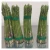 Import New crop green asparagus from Vietnamese supplier from Vietnam