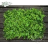 New design custom jungle style vertical plant wall artificial hanging plant Green grass wall home decoration