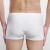 Import New Design Mens Boxer Briefs Stretchable Underpants Soft Boxer Shorts from China