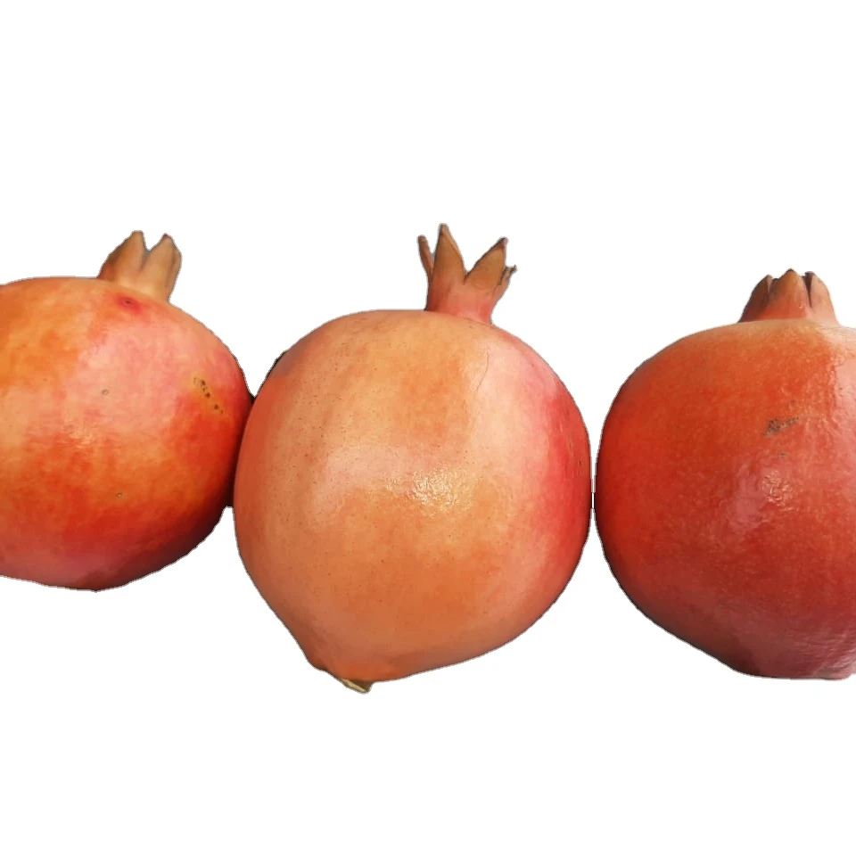 New Fresh Red Fruit High Quality Bulk Quality Pomegranate