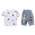 Import New Summer Boy Clothing Sets Children T-shirt Short Sleeve +Pants Set Two Pieces Set Kids Baby Boys Clothes 4 6 8 10 11 12 Years from China