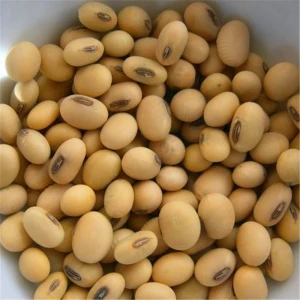 NON GMO DRIED CHEAP SOYBEANS FOR SALE AFFORDABLE PRICE