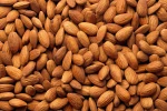 Nonpareil Almonds, California Almonds