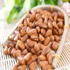Northeast China specialty kaikouzi bulk factory wholesale original wild nuts dried fruits stir fry leisure snacks
