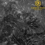 OEM Colorful Lamborghini Forged carbon fiber sheet, forged carbon plate