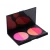 Import OEM makeup 4 and 6 color blush with private logo from China