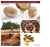 Import OEM/ODM high quality pure Morocco Argan Oil 100% for hair care from China