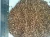 Import Organic buckwheat kernel /buckwheat seed / buckwheat hull from China