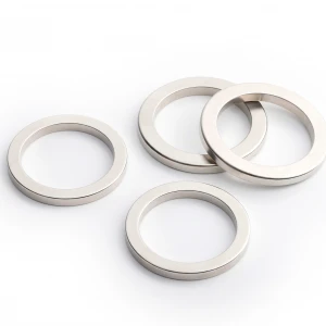 permanent rare earth neodymium big size ring magnet