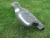 Import PIGEON DECOY BIRD PAINTED SHELL HIGH QUALITY from China