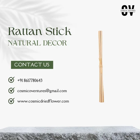 Buy Popular Premium Quality Rattan Stick Bamboo For Dried Flower ...