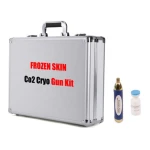 Portable Facial Frozen Co2 Lifting Anti Wrinkle Mesogun Therapy Machine Free Needle Mesotherapy Gun
