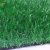 Import Premium Natural Green Artificial Grass Landscape Grass from China