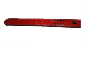 Premium Red Leather Padded Dog Pet Collar &amp; Leash Suppliers