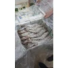 Processed Jumbo Prawns - Fresh Frozen Shrimp - PUD