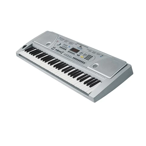 Professional 61Key Electronic Keyboard /Electronic Organ ARK-2173