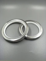 PTFE lip seal rotary shaft with stainless steel /Wipers seals/pneumatic rod seals