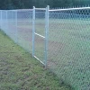 PVC Coated Steel Wire welded chain link sports ground wire mesh fence