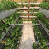 PVC Hydroponic Gutter for Agricultural Greenhouse