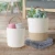 Import QJMAX Wall Decoration Hanging Basket Cotton Rope Woven Wall Hanging Flower Pot For Home from China