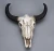 Import Resin Longhorn Cow Skull Head Wall Hanging Decor 3D Animal Wildlife Sculpture Figurines Crafts Horns For Home Halloween Decor from China