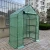 Import Sample Available Easily Assembled 3 Tier PE Cover Mini Plant Indoor Walk-in Greenhouses from China