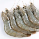 Seafood Vannamei Frozen White Shrimp
