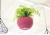 Import Self watering planter decorative plastic garden pots plastic hanging pots hydroponics hanging basket from China