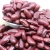 Import Sell premium grade Red cowpea bean Red Vigna bean with nice price wholesale from South Africa