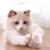 Import Smart Hi Automatic Teaser Cat Toy Light-Up Rolling Bite-Resistant Pet Ball for Small Animals from China