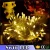 Import Super Hot-sale DD8531 china Halloween Diwali outdoor decoration led Christmas light from China