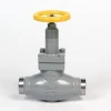 T type straight for freon and ammonia cylinder  globe stop valve for cold room