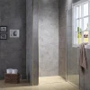 Tempered Glass Pivot Bathroom Shower Door with Aluminum Magnetic