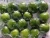 Import The Fresh Lime with BEST PRICE in VietNam from Vietnam