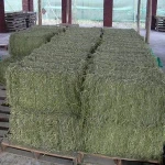 Top Quality Alfafa Hay for Animal Feeding Stuff Alfalfa