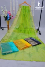 Top Quality Lime Green Golden Zari and Hand Work Organza Saree with Blouse 4 Pcs of Set from Indian Supplier