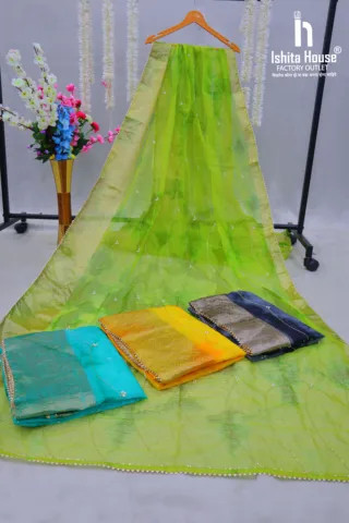 Top Quality Lime Green Golden Zari and Hand Work Organza Saree with Blouse 4 Pcs of Set from Indian Supplier