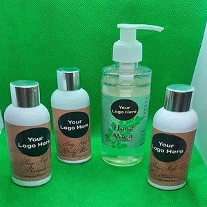 Top Quality  Moringa Hand Wash Supplier from India