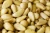 Import Top Quality Pine Nuts from Uganda