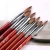 Import TSZS 2021 Best Quality Red Wood Pen Nail Brush for Nail Art Manicure Tool Acrylic Nail Brush 80 % Kolinsky from China