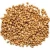 Import Ukrainian High Quality Organic Buckwheat from Ukraine