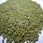 Unpolished green mung bean Indonesia green mung bean