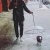 Import Upgrade Pet Umbrella Useful Pet Dog Umbrella With Leash Holder Using in Rain Days from China