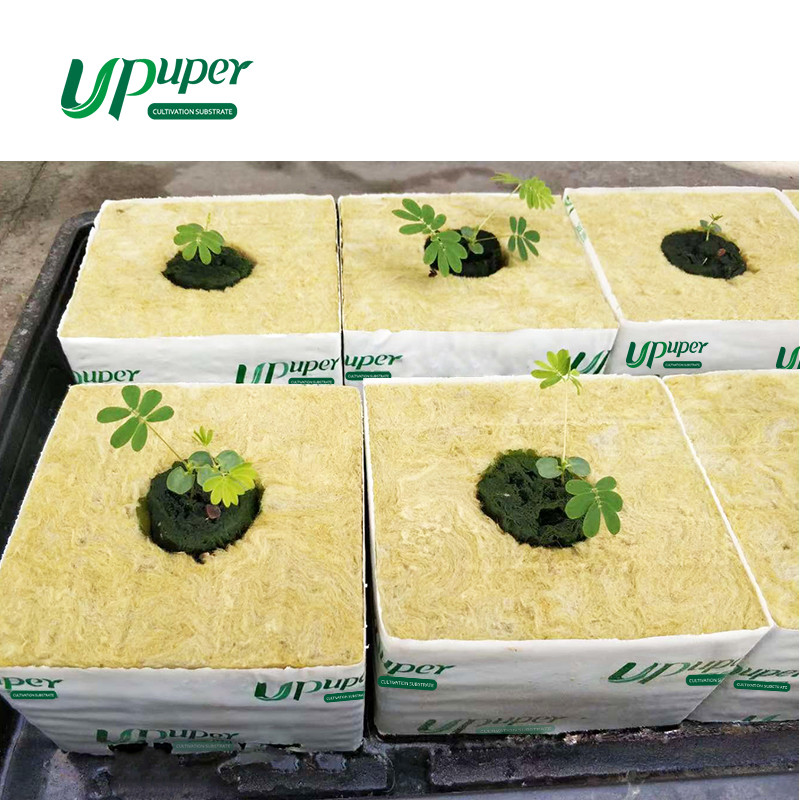 Buy Upuper Hydroponic Rock Wool Block Plant Grow Media Cb100l For Green ...