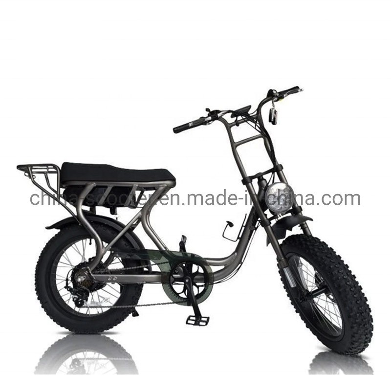 Us Market Hot Sale Fat Tire 500W Electric Ebike with Double Disc Brake 48V 14ah Battery