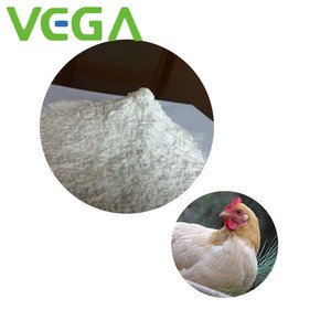 VEGA OEM Service Poultry Health Product Amoxicillin Water Soluble Powder Medicine